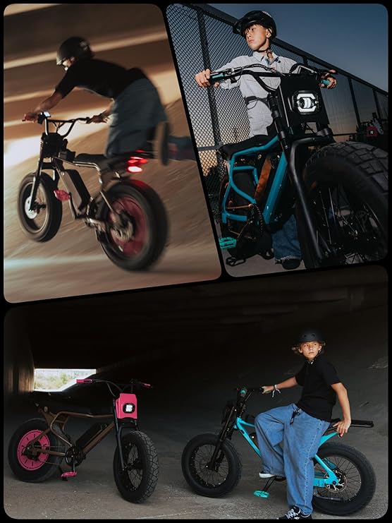 Electric Bike for Adults, 750W EBike with Hydraulic Brakes, 48V 13Ah Removable Battery 30 Mile Range, Upgraded 20x5.0 Rear Fat Tire for School/City/Town Commuting (UL2849 & Class-2)