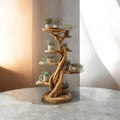 Natural Wood Tree Plant Stand | Handmade Rustic Indoor Plant Display Shelf